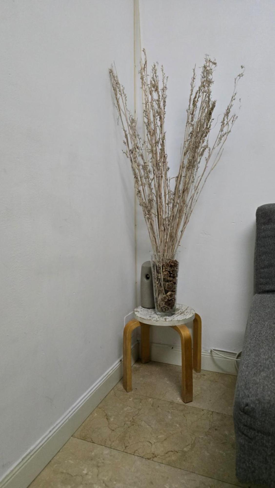 Mini Apartamento Lovely Chueca Madrid Eksteriør billede